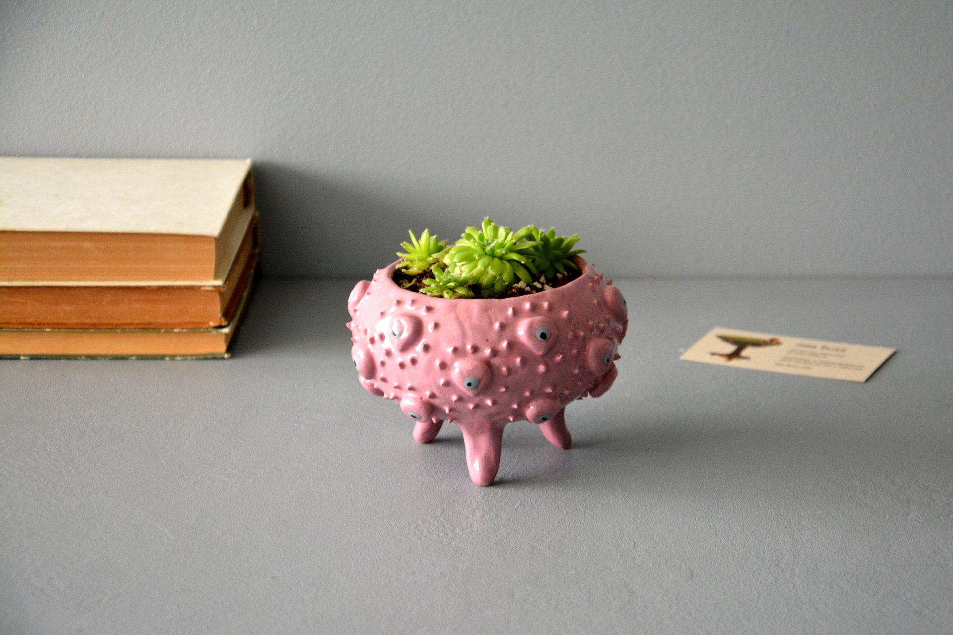 Pink ceramic flower pots for succulents, height - 8,5 cm, diameter (internal) - 8 cm, photo 2 of 4.