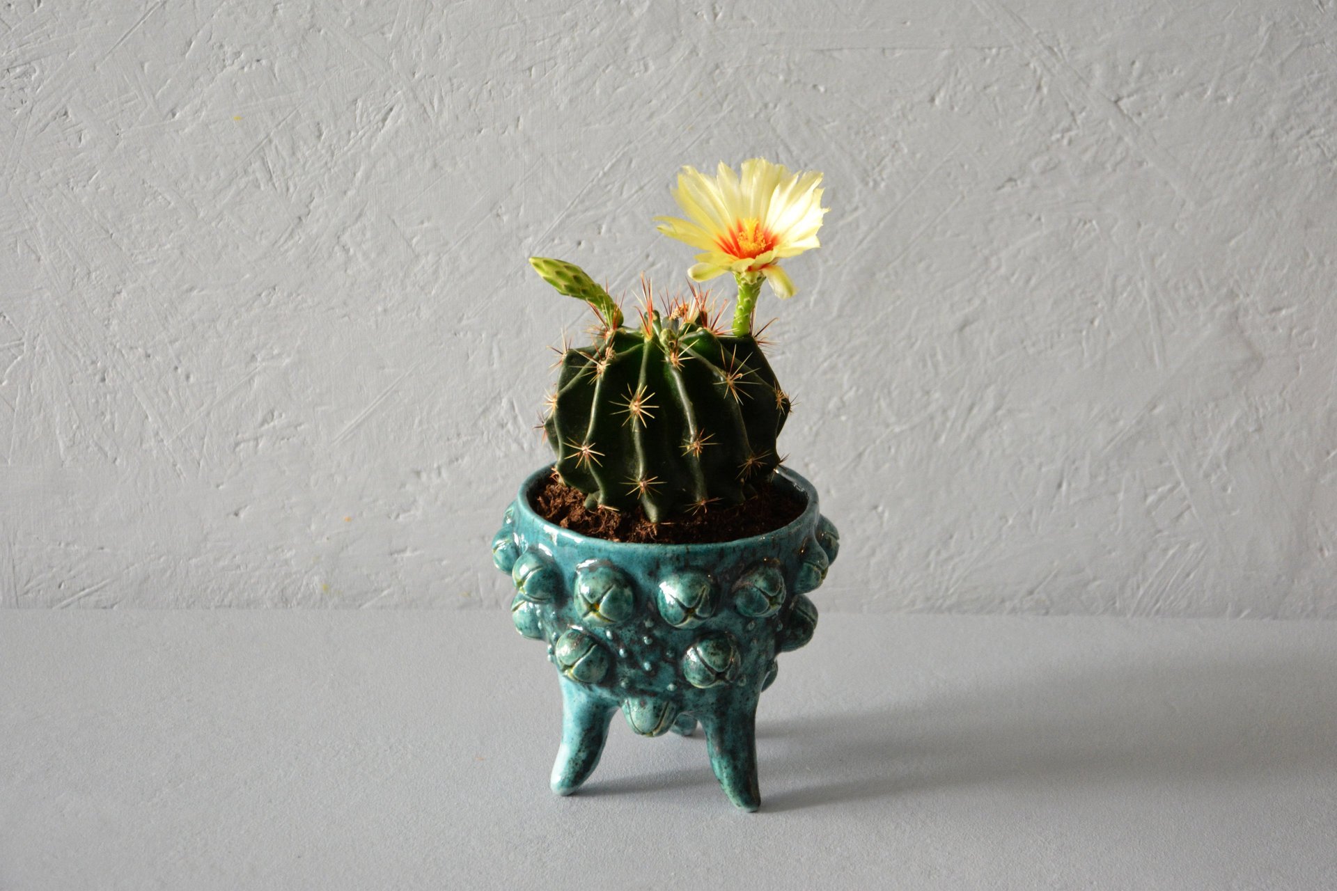 Ceramic cachepot for cactus on the legs Turquoise flicker, diameter - 10 cm, height - 9.5 cm, photo 4 of 4.