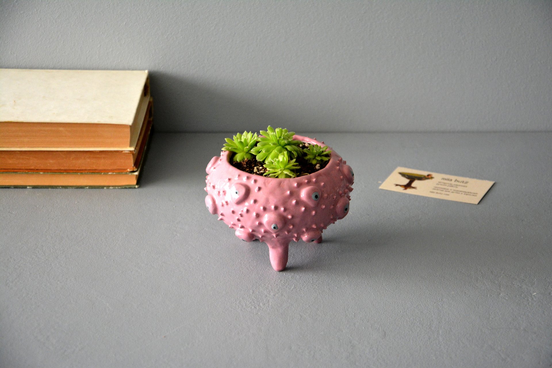 Керамическое кашпо для суккулентов на ножках, высота - 8,5 см, диаметр (внутренний) - 8 см, фото 4 из 4.