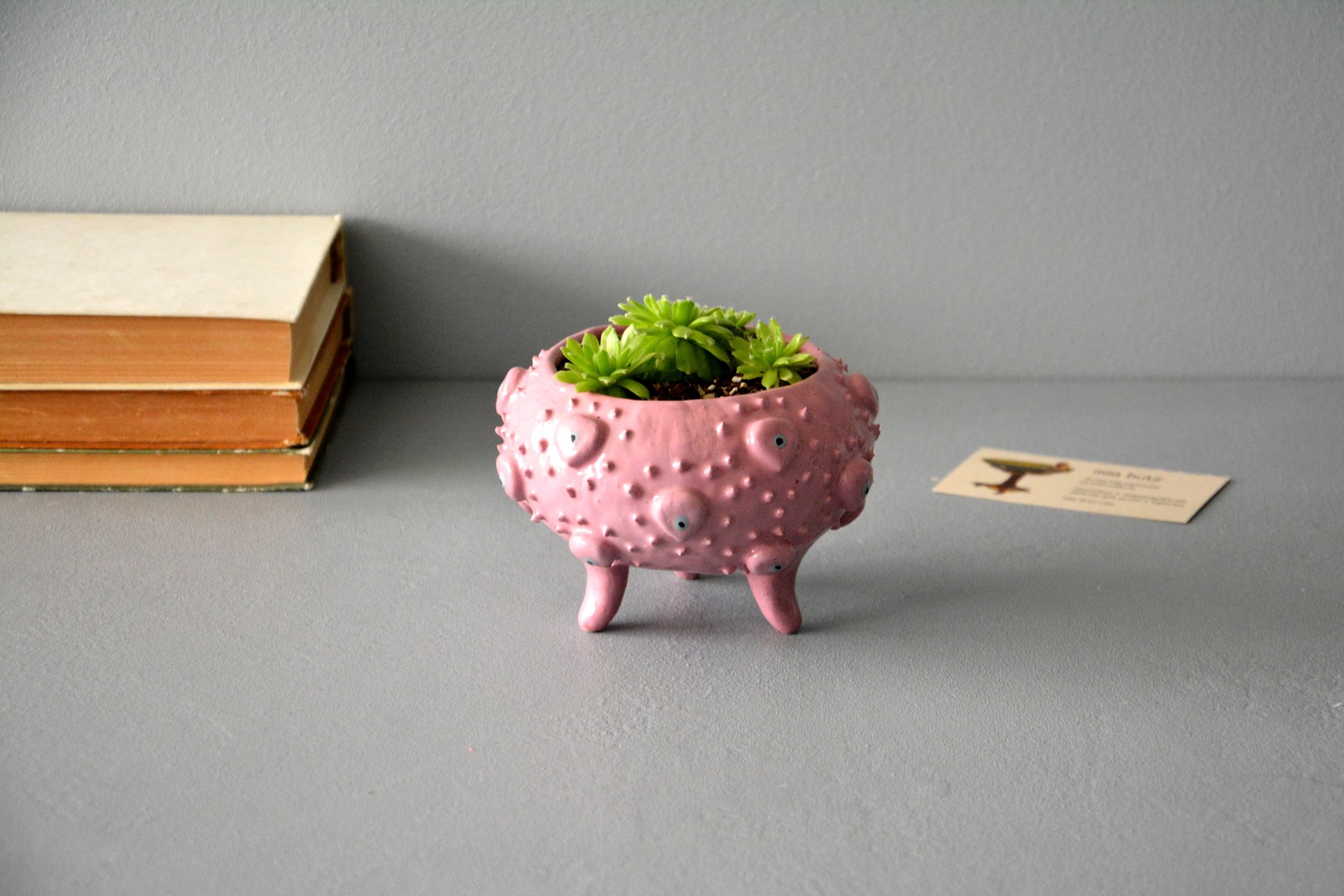 Керамическое кашпо для суккулентов на ножках, высота - 8,5 см, диаметр (внутренний) - 8 см, фото 1 из 4.